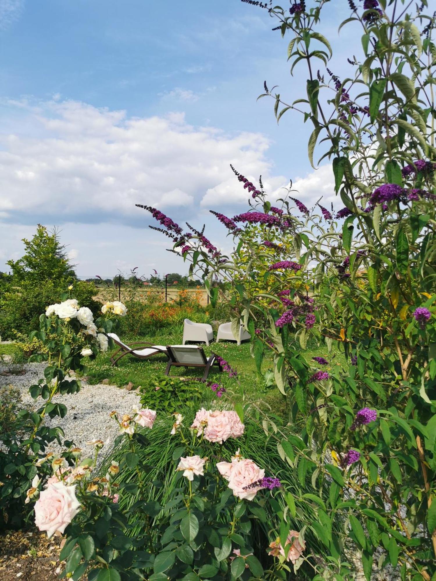 Pensjonat pod Pieprzówkami Zalesie Gorzyckie Exterior foto