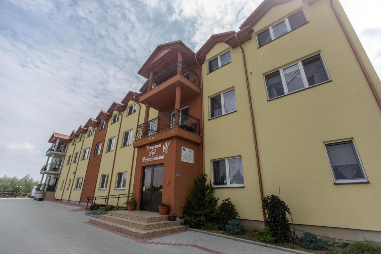 Pensjonat pod Pieprzówkami Zalesie Gorzyckie Exterior foto